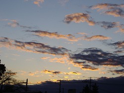 a0142083_21332352.jpg