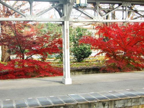 f0211892_15434918.jpg