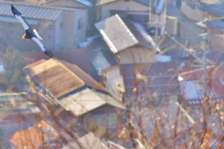d0133693_23545737.jpg