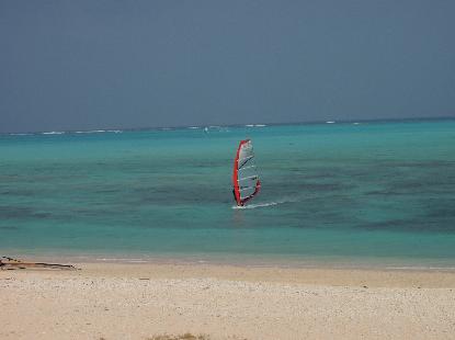 e0077899_811027.jpg