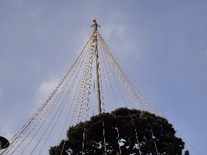 e0122199_11475588.jpg