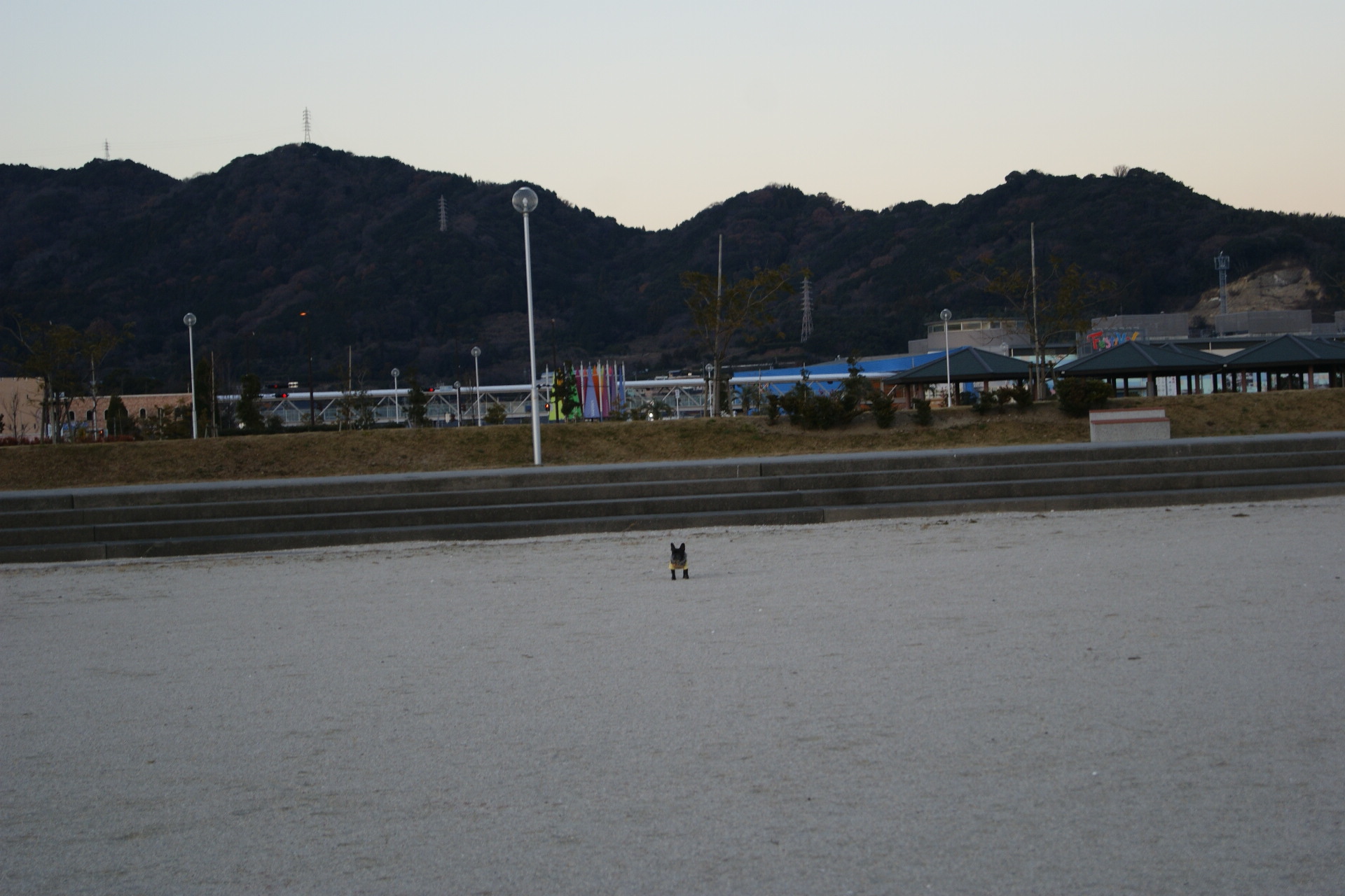 d0164100_238750.jpg
