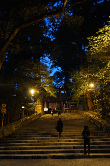 f0208202_1434591.png