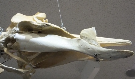 f0048405_15472210.jpg