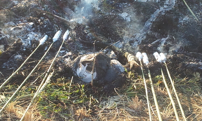 e0015108_2210355.jpg