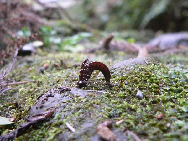 e0002314_2019220.jpg