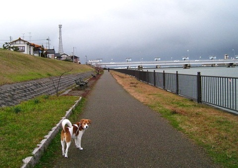 c0084117_16122223.jpg