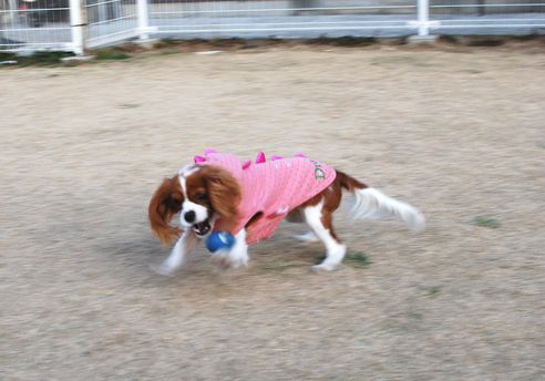 f0214121_0343395.jpg