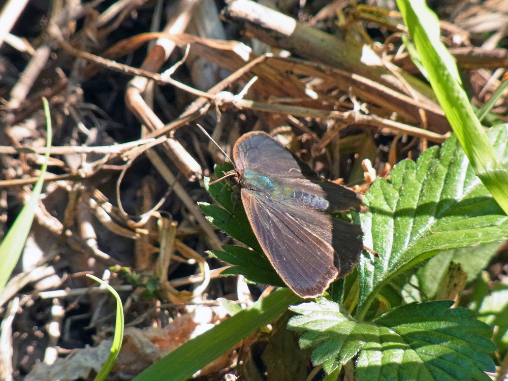 f0160222_23102622.jpg