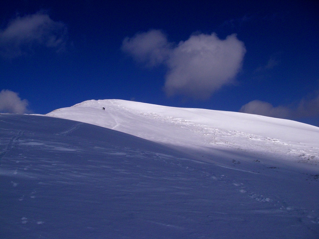 b0062024_19362522.jpg