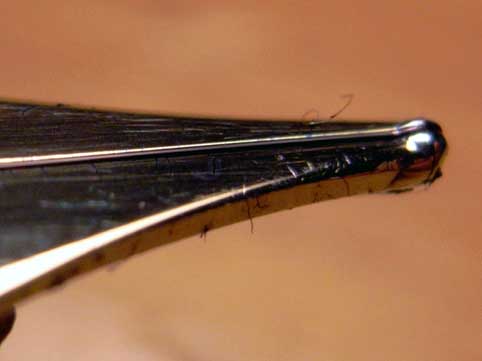 c0098228_21371617.jpg