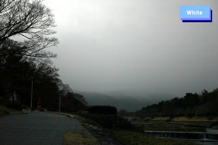 c0227134_19514116.jpg