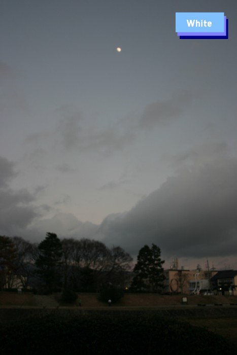 c0227134_1952524.jpg