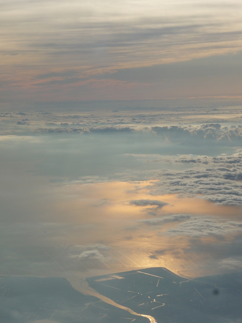 a0167338_849252.jpg