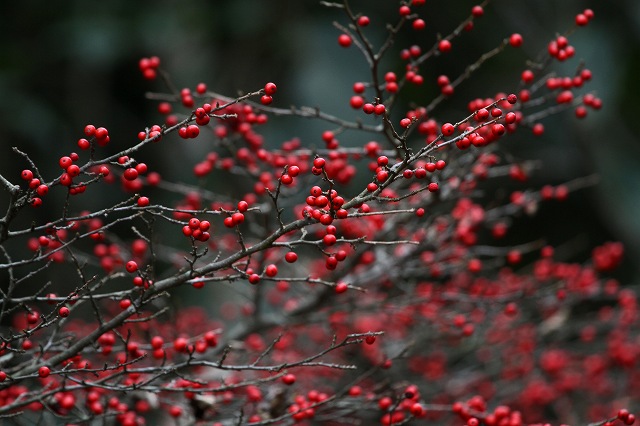 a0242438_19281191.jpg