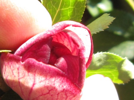c0025140_20353770.jpg