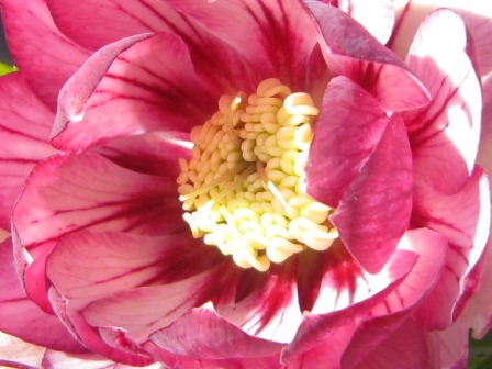 c0025140_2035559.jpg