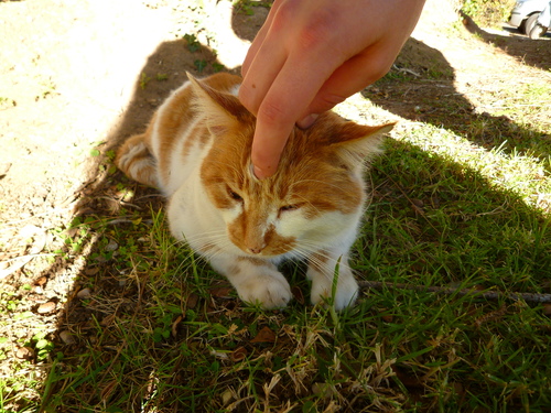 d0170140_013838.jpg
