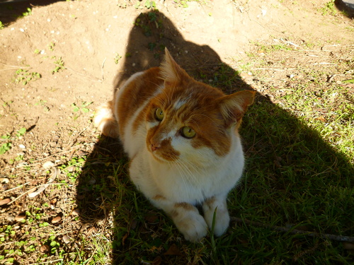 d0170140_01552.jpg