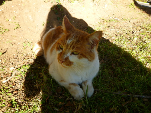 d0170140_044480.jpg