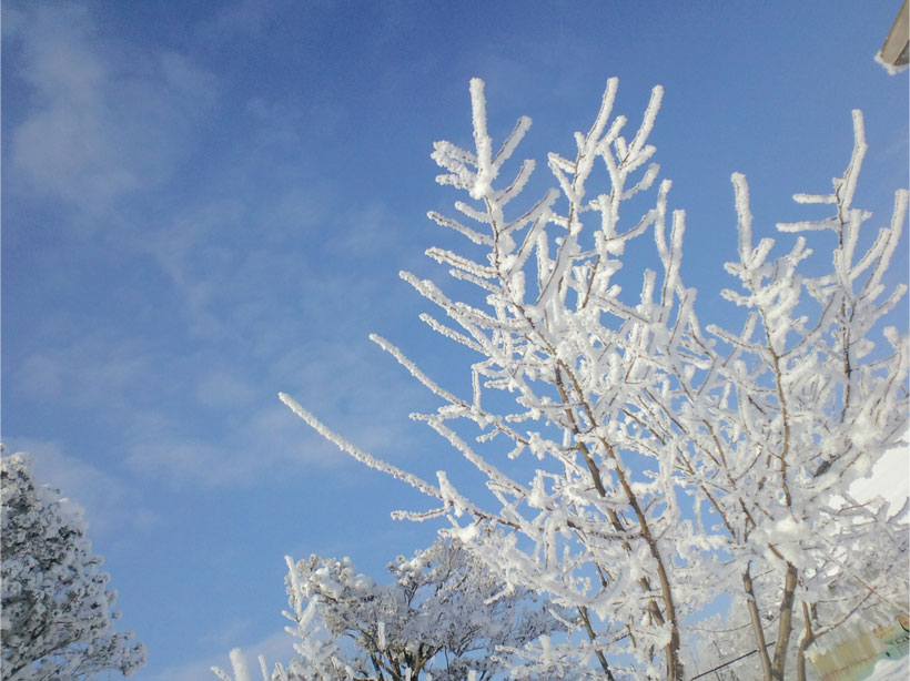 f0221648_1023974.jpg