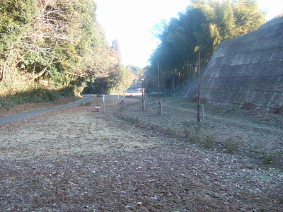a0052750_1903898.jpg