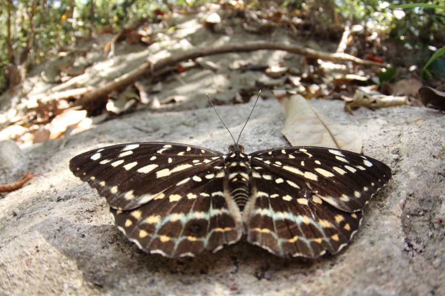 a0094850_13381562.jpg