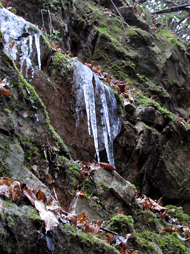 f0007956_151359.jpg