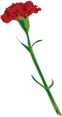 e0129862_16311662.gif