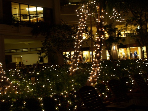 e0078071_2033184.jpg