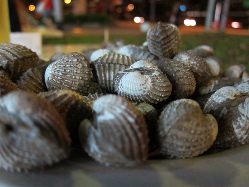 a0002177_11403080.jpg