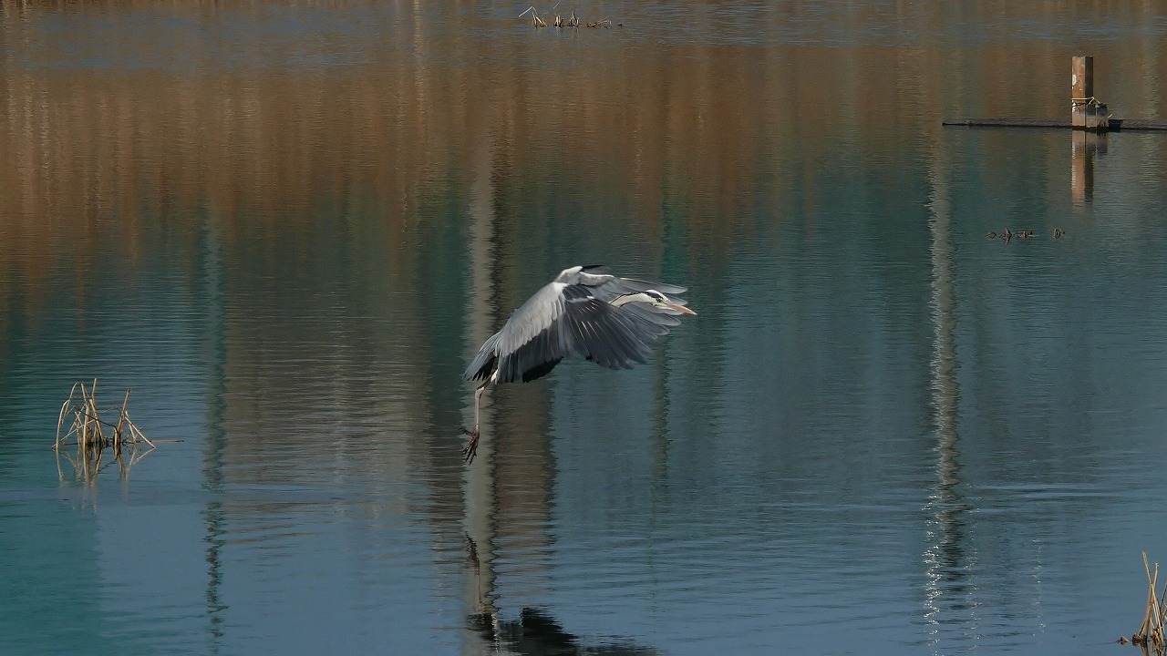 a0185081_19345230.jpg