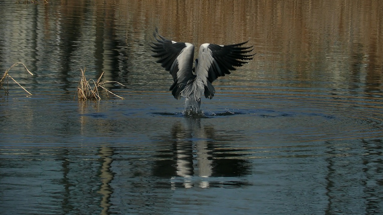 a0185081_19352920.jpg