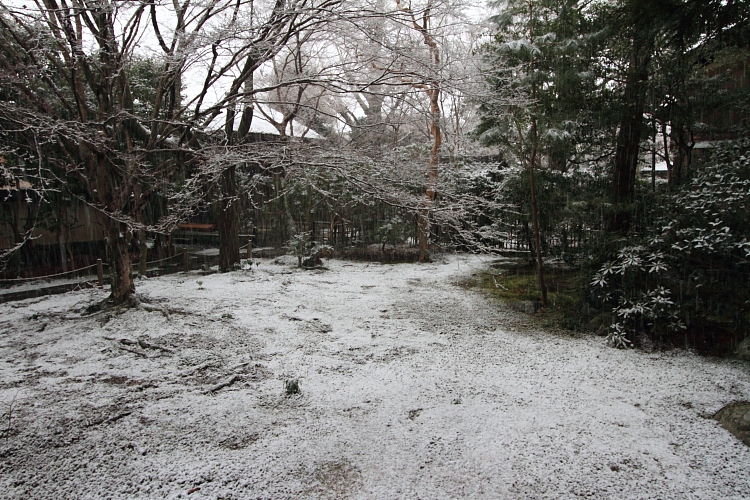e0051888_21332012.jpg