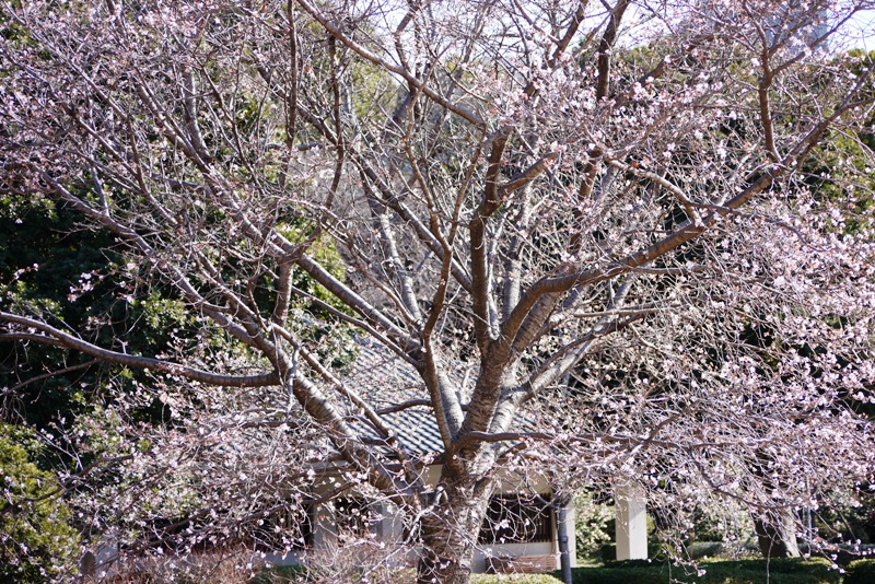 a0127090_20453052.jpg