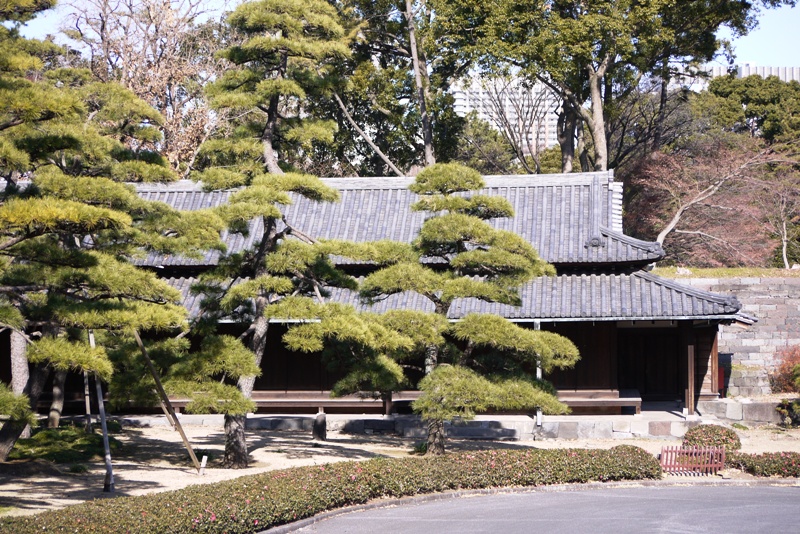 a0127090_20463975.jpg
