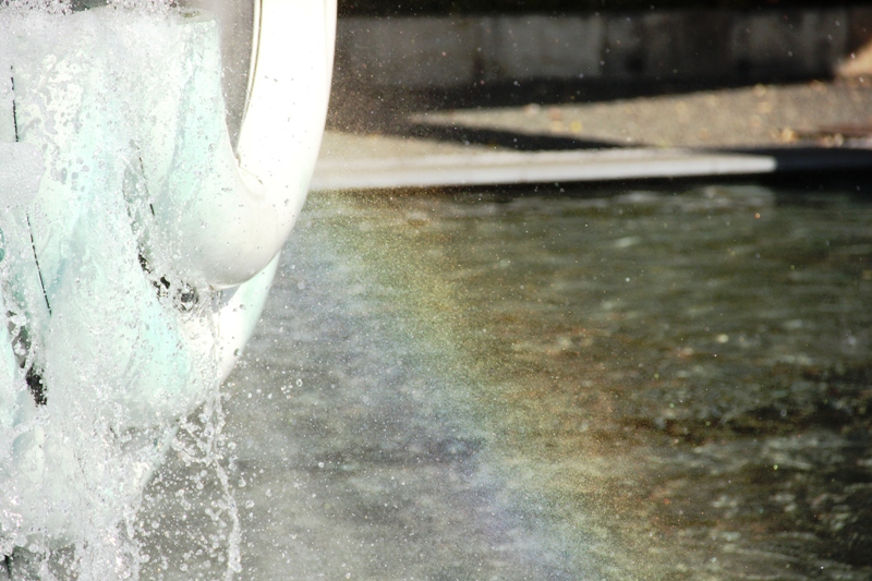 a0127090_2054569.jpg