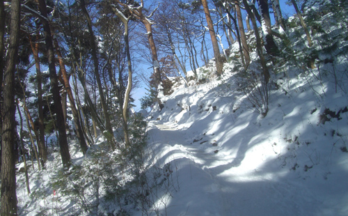 b0099994_17352266.jpg
