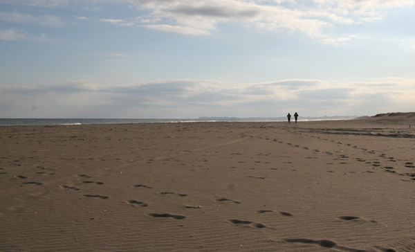 d0100095_106266.jpg