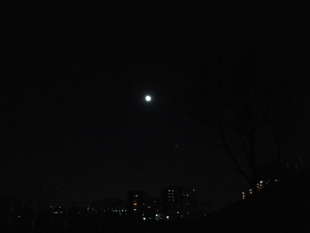 f0077595_1934021.jpg