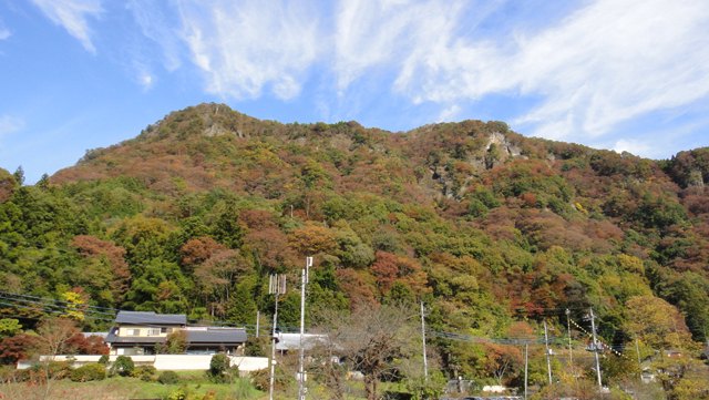 d0004301_239234.jpg