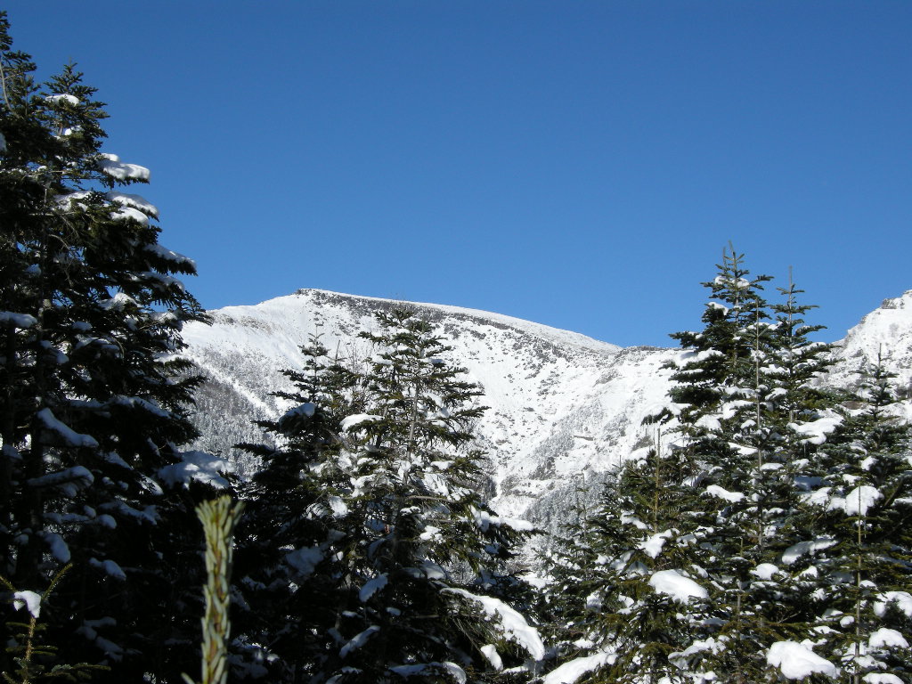 a0158802_23294671.jpg