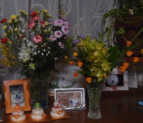 e0018604_16303191.jpg