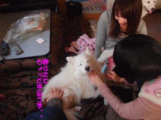 e0018604_1650874.jpg