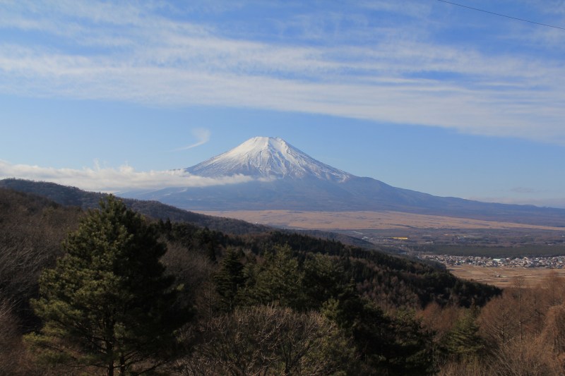 a0188405_21581473.jpg