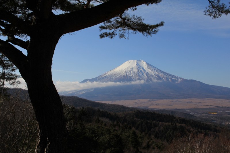 a0188405_2265154.jpg