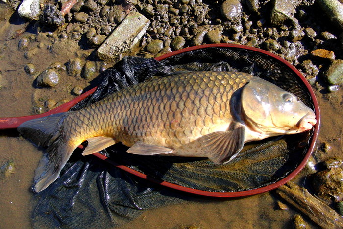 d0126708_1962360.jpg