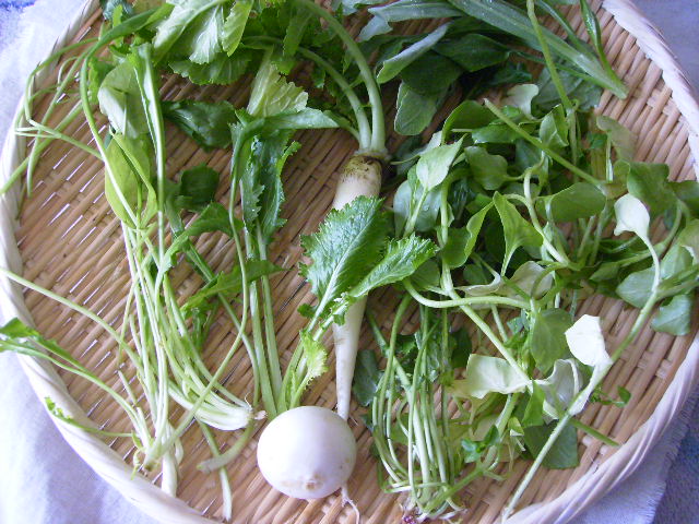 f0208812_9133517.jpg