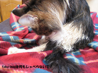 e0195115_19313621.jpg