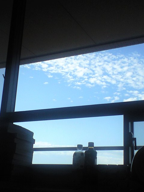 d0004617_128479.jpg